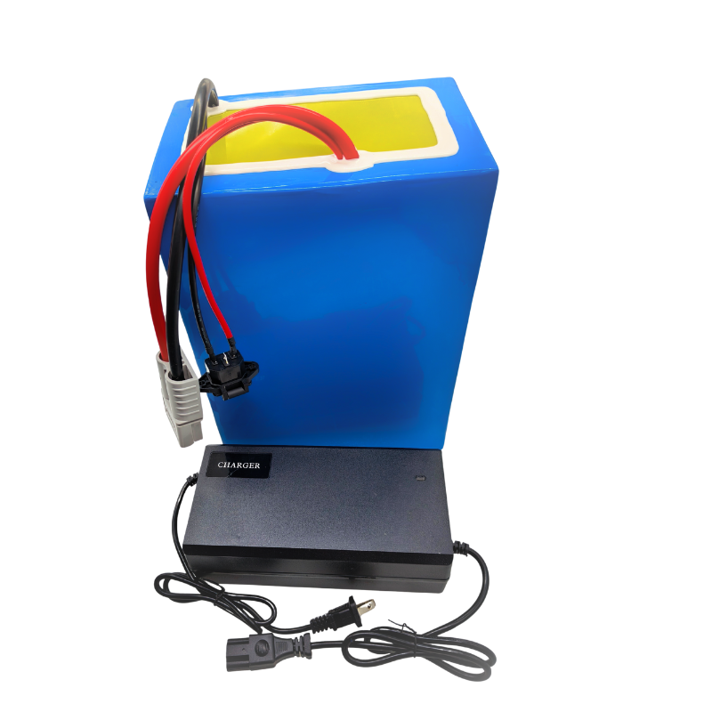 72V 100Ah Li ion With ChargerB - 72V 60Ah Lifepo4 Battery Pack ulasan dan harga